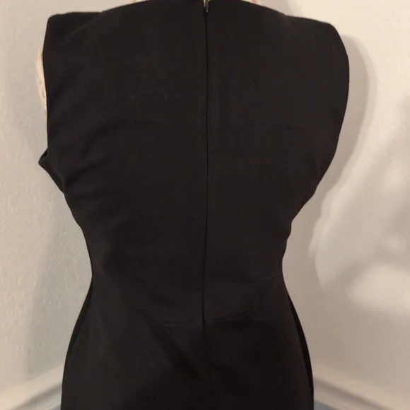 Black Sleeveless Pencil/Sheath Style Black Dress - Picture 4 of 4